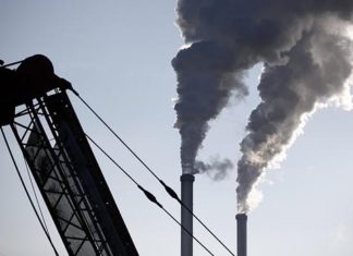 La lucha contra el cambio climático, un negocio a la vista para el 70% de los empresarios