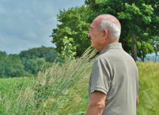 ¿Por qué el autónomo cobra menos pensión que el asalariado?