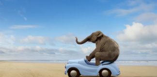 Aprende a romper el hielo en cualquier reunión