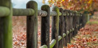 Las tres barreras de la transformación digital de las pymes