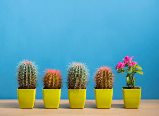 Analiza la viabilidad de tu idea de negocio en 6 sencillos pasos