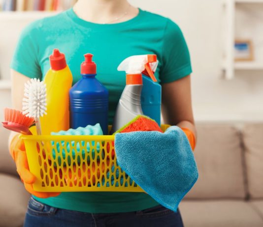 Salario de las empleadas de hogar según las horas de trabajo. Empleada de Hogar